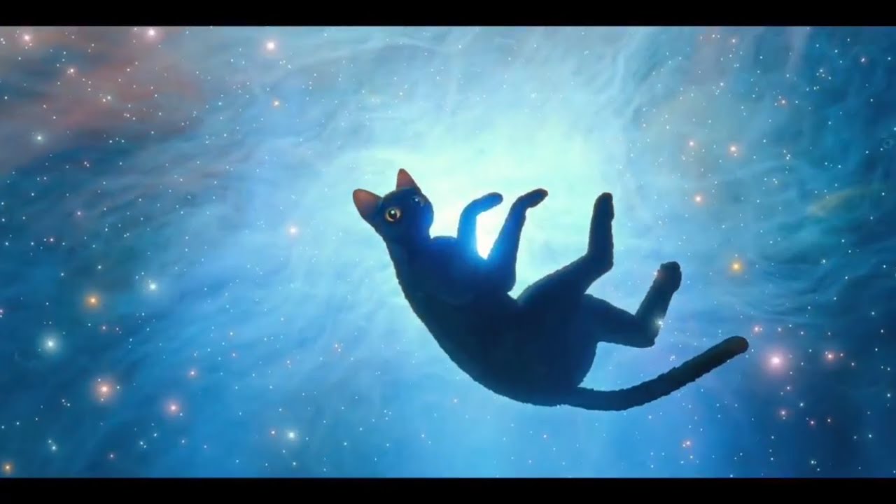 youtube placeholder image