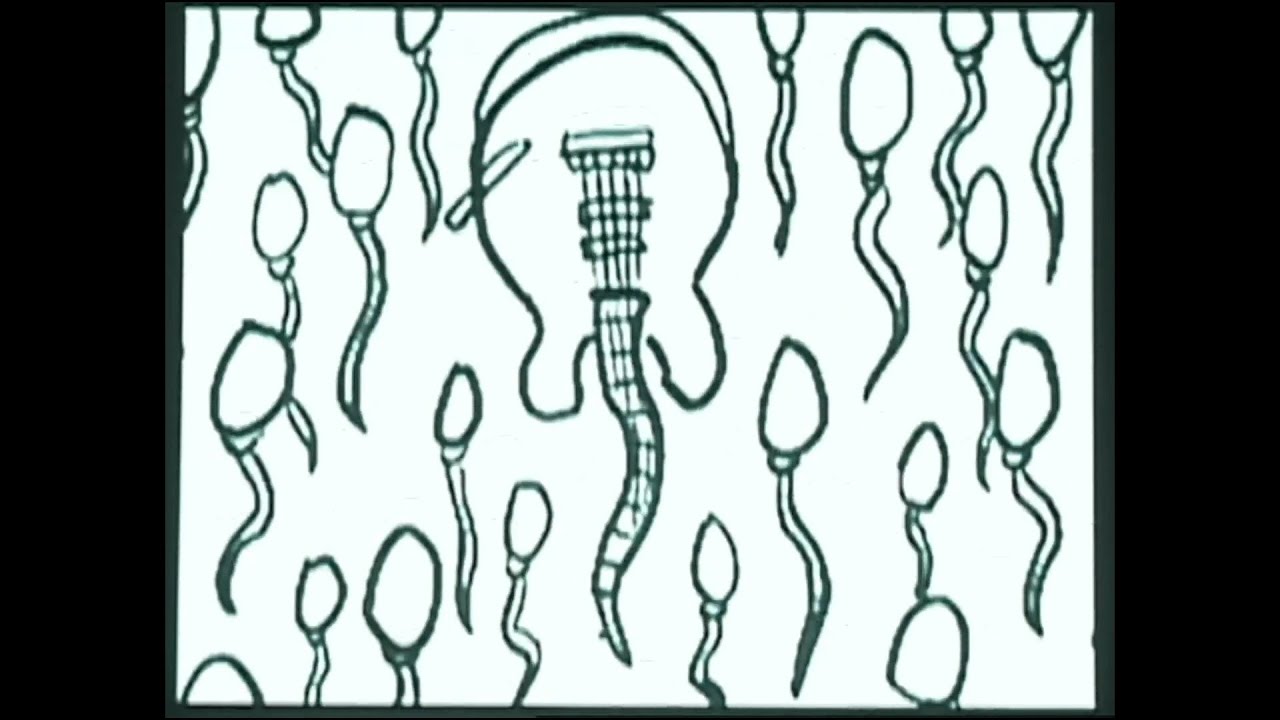 youtube placeholder image